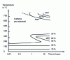 Figure 6 - TTT curve for high-alloy steel