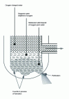 Figure 12 - Case of a bowl (Evans effect)