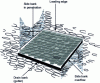 Figure 4 - Different shores