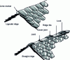 Figure 8 - Ridge