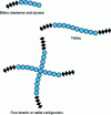 Figure 5 - Possible bi-, tri- and quadriblock configurations of SBS molecules