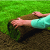 Figure 9 - Lawn on a roll (source: Gamm vert)