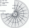 Figure 22 - Plan view of a reinforced concrete spiral staircase with central core (© ETI)