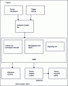 Figure 12 - Type A SSI