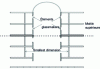 Figure 7 - Isolation of upper levels