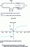 Figure 2 - Experimental setup and diagram for lateralization effects induced by a difference in gait (ddm)