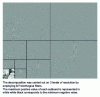 Figure 38 - Wavelet coefficients and approximation coefficients of the image in figure  arranged as in figure  (but here in the spatial domain)