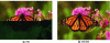 Figure 39 - Example of error resistance due to 16 bytes set to zero in the middle of the file: half of the JPEG coded image is corrupted (a), but not the JPEG 2000 coded image (b) (source IntoPIX)