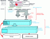 Figure 2 - Compression format in the cascade of digital media formats