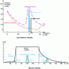 Figure 4 - Hearing and masking phenomena [TE 6 142]