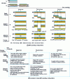 Figure 19 - MXF operating configurations (OP, Operational Patterns) and examples
of use [23] [Enertec].