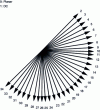 Figure 20 - Prediction directions Intra [10]