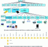 Figure 12 - Examples of smartphone tree structures managed by Android