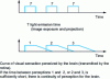 Figure 4 - Perception of light by the human eye (from CST)