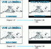 Figure 9 - Amputation of a 1.37 format projection (according to CST)