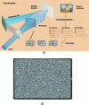 Figure 14 - Holographic disc principle