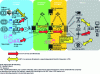 Figure 13 - Live production-distribution architecture and workflow for 360°-I augmented television([7] fig. 27)