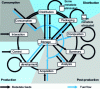 Figure 16 - Essence and metadata feeds [6]