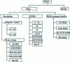 Figure 13 - The optical family [22]