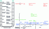 Figure 2 - OSI layered network model