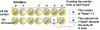 Figure 24 - RAID – simple parity checking 7