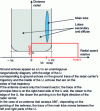 Figure 16 - Position of ground echoes in a distance/speed diagram