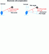 Figure 21 - Roll compensation