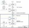 Figure 28 - Chirp scaling SAR processor diagram