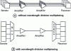 Figure 11 - Transmission of multiple optical carriers