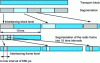 Figure 14 - Two-phase interlacing