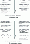 Figure 5 - CDMA principle