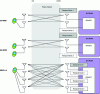 Figure 4 - SU-MIMO, MU-MIMO and MIMO 4x4 techniques applied to the EPS system