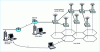 Figure 8 - Cellular and Mobile IP networks