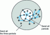 Figure 4 - How FSR works