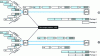 Figure 3 - Management of routers unable to aggregate flows