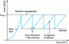 Figure 23 - Congestion window: evolution over time in an idealized case