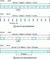 Figure 9 - Segments in transit on a link: example of a file transfer via ftp