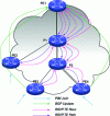 Figure 1 - Scaling factor in P2MP MPLS trees