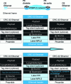 Figure 20 - Encapsulating an Ethernet frame in untagged mode (raw mode)