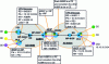 Figure 4 - Option A control plan