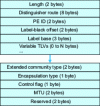 Figure 10 - BGP NLRI for VPLS