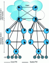 Figure 13 - Hierarchical VPLS