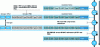 Figure 15 - PBB VPLS encapsulation and transfer plan