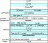 Figure 8 - FEC 128 used in T-LDP label mapping