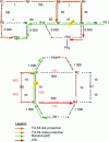 Figure 20 - TI-LFA: protection respecting operator routing policies