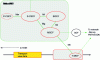 Figure 20 - Principles of domain interconnection