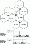 Figure 12 - 4G-LTE and 5G planning principles