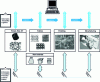 Figure 2 - Traceability in the Textile and Clothing sector