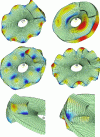Figure 3 - Modal deformations in a brake disc (from [5])
