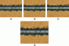 Figure 3 - Example of a sharp image in depth of field (d), composed of 3 images taken at different focal positions (a, b and c) and then merged.